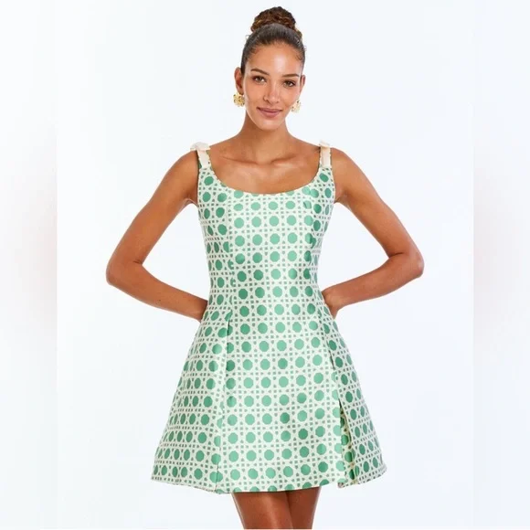 NWT Mestiza Sleeveless Green Patterned Mini Dress - Picture 1 of 12